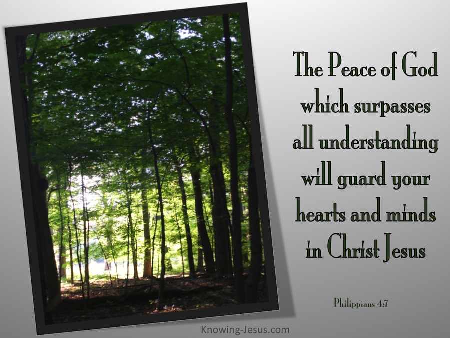 Philippians 4:7 The Peace Of God (gray)